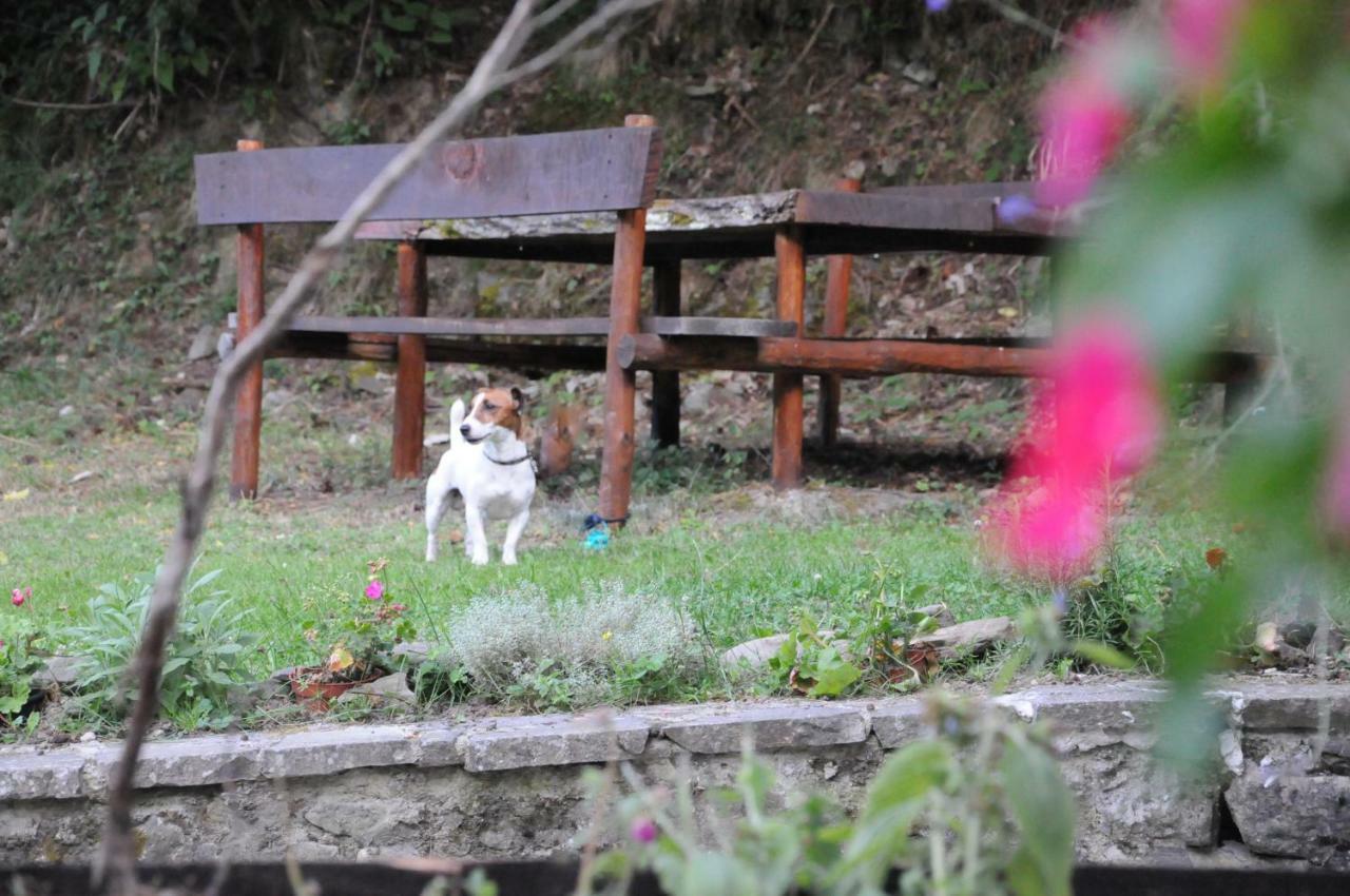 Il Molino Di Serravalle Bibbiena Exteriér fotografie